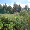 Участок № 3741 - 12,81 сот. | У Гаричей